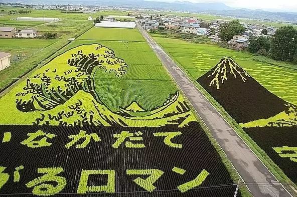 【农业旅游】盘点日本最有名的10个农场